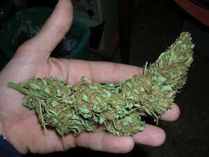 ��� �����. ��������� 