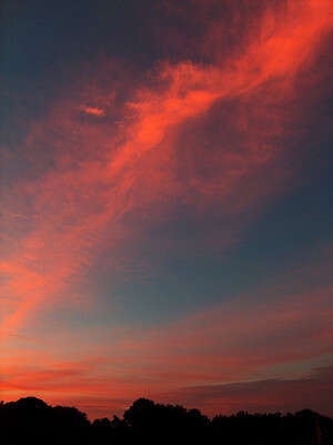 ������ ���� ����