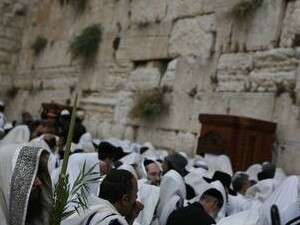 ����� ����� ����� ������