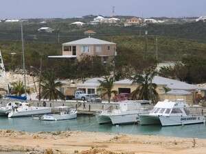 ��� ����� ������� ���� ������.