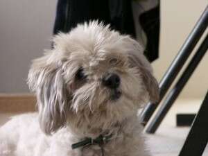 ���� ����, �� 14