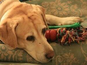 ����� �����, �� 12