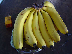 צרור בננות. זה כל מה שצריך צרור בננות. זה כל מה שצריך