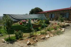 הזעזוע מחורבן בית פדרמן נזנח. צילום ארכיון: הזעזוע מחורבן בית פדרמן נזנח. צילום ארכיון: