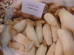 שוק האיכרים שוק האיכרים