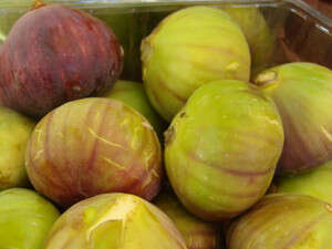 שוק האיכרים שוק האיכרים