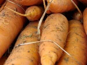 שוק האיכרים שוק האיכרים