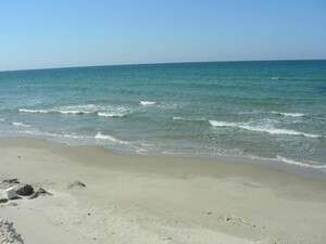 ���� ����.