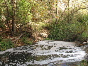 במשך עשרות שנים זיהמו עשרות בסיסי צה במשך עשרות שנים זיהמו עשרות בסיסי צה