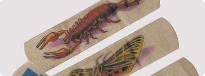 פלסטרים מאוירים
אין