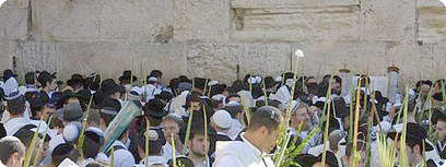 הכותל
צילום: פלאש 90