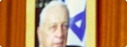שאול מופז.
צילום ארכיון: רובי קסטרו
