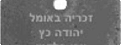 דסקית הדמי שהכינו הפעילים למען יונתן פולארד.
עיבוד מחשב: אודי יונש