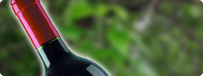 בקבוק יין גרנג'.
צילום: יחסי ציבור