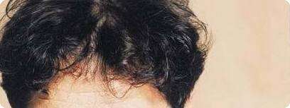 יהונתן גפן.
צילום: ארכיון