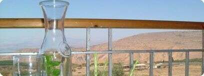 מנה במור וקינמון.
צילום: יחסי ציבור