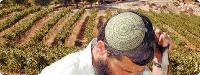 הרב משה הגר.
צילום: דודו גרינשפן