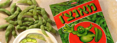 מאנצ'ו.