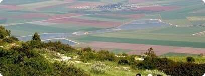 לא קשור לכתבה.
צילום: איל ברטוב
