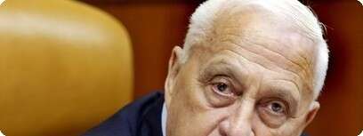 ראש הממשלה אריאל שרון בישיבת ממשלה. צילום ארכיון:
רויטרס
