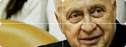 שרון בישיבת ממשלה. צילום:
אי.פי