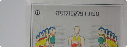 סנדרה אליאש.