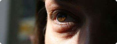 Brian Boulos, Flickr