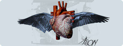 חכמת הלב.
felipe venancio, cc=by