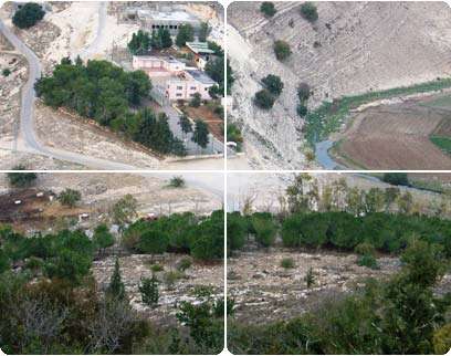 צילום: אורנה סידי צילום: אורנה סידי