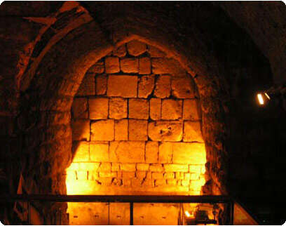 �����: ��� ����