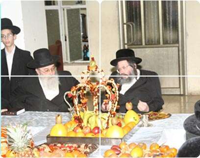 יניב לוי יניב לוי