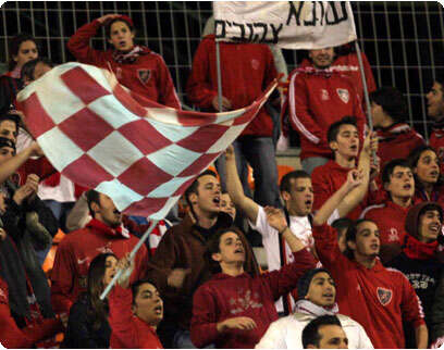 צילום: עדי אבישי צילום: עדי אבישי