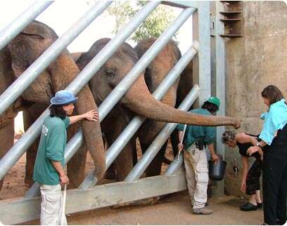 �����: ���� ����