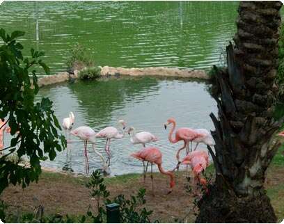 �����: ���� ����