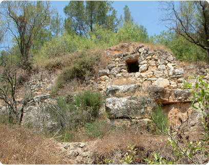 צילום: דובי זכאי צילום: דובי זכאי