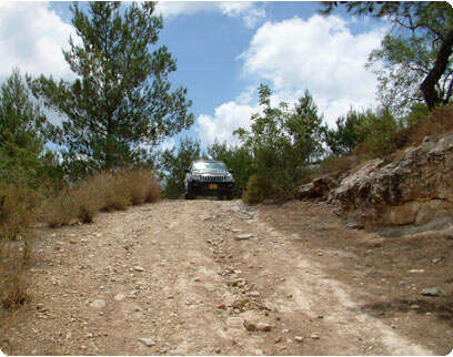 צילום: דובי זכאי צילום: דובי זכאי