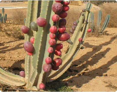 צילום: יח''צ צילום: יח''צ