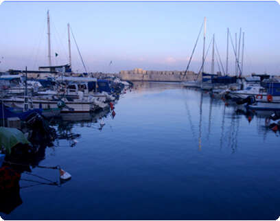 צילום: ורד ורסאנו צילום: ורד ורסאנו