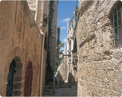 צילום: יח''צ צילום: יח''צ