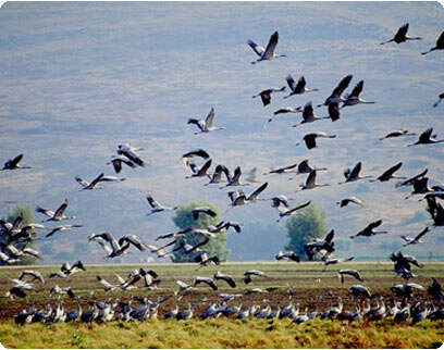 צילום: יח''צ צילום: יח''צ