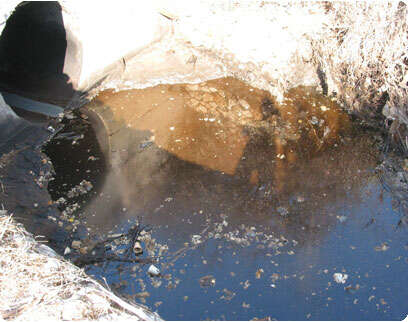 צילום: עמותת צלול צילום: עמותת צלול