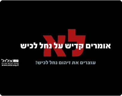 צילום: עמותת צלול צילום: עמותת צלול