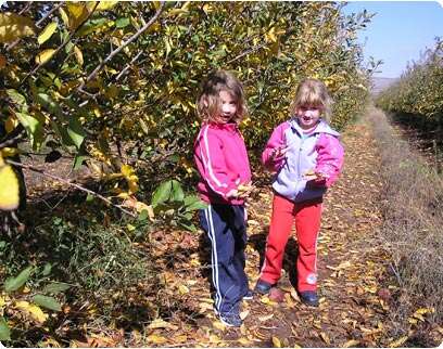 �����: ��� ����