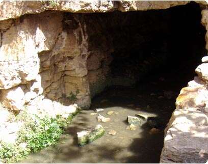 צילום: נאור רהב צילום: נאור רהב