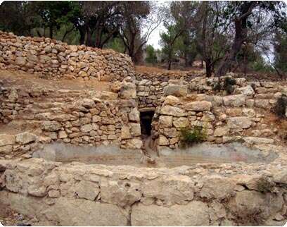 צילום: נאור רהב צילום: נאור רהב