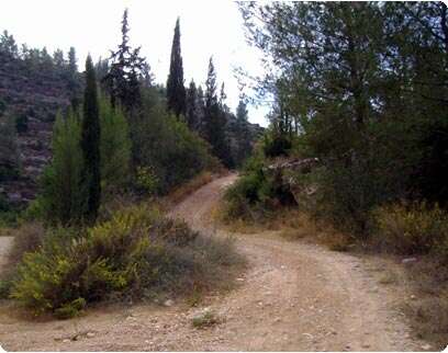 צילום: נאור רהב צילום: נאור רהב