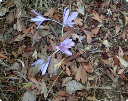 �����: ���� ����