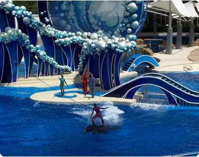 �����: ��� ��-�� 