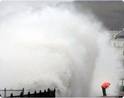 �����: ������