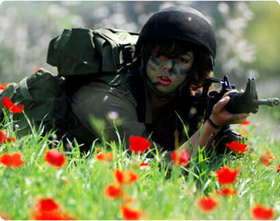 דו''צ דו''צ